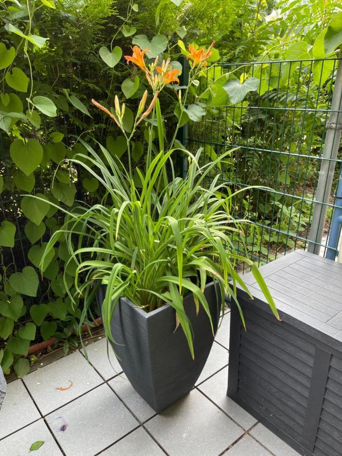 Sonnige Wohnung Im Zentrum Mit Terrasse U Tiefgarage - Netflix & Prime Leipzig Exterior photo